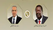 وزير الخارجية يبحث مع نظيره الكيني تحضيرات منتدى العلمين إفريقيا