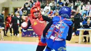 مصر تحصد ذهبيتين وفضية في بطولة كأس العالم للووشو كونغ فو