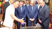 وزير العمل: جاهزون لتأهيل شباب أسوان وتوفير الحماية للعمالة غير المنتظمة