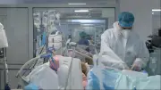 فؤاد عودة يدعو لشفافية عالمية في ملف كورونا ويطالب بكشف الحقيقة