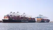 كينيا تصدر أول شحنة شاي معفاة من الجمارك إلى الصين عبر بريكس