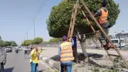 رفع كفاءة وتجميل ميادين الإسماعيلية استعدادًا لعيد الأضحى
