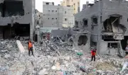 النازحون في غزة يواجهون خطر القوارض داخل المخيمات