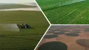 متحدث الري: مشروع الدلتا الجديدة نموذج عالمي لتعظيم الاستفادة من المياه