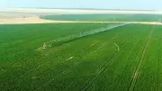 نقيب الفلاحين: الدلتا الجديدة أضخم مشروع قومي زراعي على أرض مصر