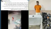 القبض على مسجل سرق هاتف طالبة في الجيزة