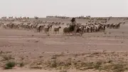 نيويورك تايمز تكشف تفاصيل جديدة عن قاعدتين إسرائيليتين سريتين في العراق