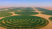 نقيب الزراعيين: الدلتا الجديدة منظومة متكاملة تدعم الأمن الغذائي