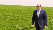 أحمد موسى: الرئيس السيسي صاحب الفضل والقرار في مشروع الدلتا الجديدة