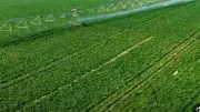 أستاذ استثمار: الدلتا الجديدة مشروع تنموي متكامل وليس زراعياً فقط