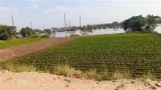 بني سويف تواصل جهودها لمواجهة ضعف مياه الري وتطهير الترع