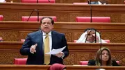 أبو العينين يرفض الإملاءات الخارجية ويؤكد دعم مصر للحل الليبي