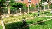 حملات نظافة وتجميل مكثفة بأسوان لتحسين المظهر الحضاري والخدمات