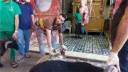 حكم توكيل الجمعيات في ذبح الأضحية.. أمين الفتوى يوضح