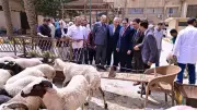رئيس جامعة القاهرة يوجه بتوفير اللحوم والأضاحي بأسعار مخفضة لأعضاء هيئة التدريس