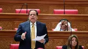 أبو العينين يرحب بعقيلة صالح في البرلمان المصري ويؤكد دعم استقرار ليبيا
