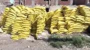 حملة مكبرة لمديرية الزراعة بالفيوم تضبط مبيدات محظورة