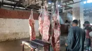 الجيزة توقف إجازات الأطباء البيطريين بالمجازر خلال عيد الأضحى