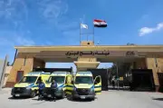 استمرار الجهود المصرية لدعم الفلسطينيين القادمين من قطاع غزة
