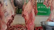 طوارئ في الجيزة لاستقبال عيد الأضحى.. فتح المجازر بالمجان ووقف إجازات البيطريين