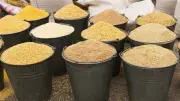 تباين أسعار الأعلاف والحبوب اليوم: انخفاض الذرة وارتفاع الصويا