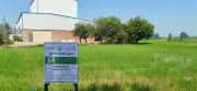 حيل قديمة لعدو جديد: كيف يواجه مزارعو البحيرة التغيرات المناخية بذكاء