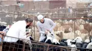 حكم الإمساك عن الشعر والأظفار لمن يجمع بين الحج والأضحية