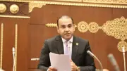 المنزلاوي: الدبلوماسية المصرية تحمي الأمن القومي العربي برؤية شاملة