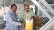 ضبط نصف طن زيت طعام منتهي الصلاحية في حملة تموينية بالأقصر