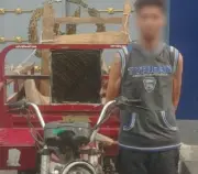 إصابتان بسبب تروسيكل يسير عكس الاتجاه في الإسكندرية