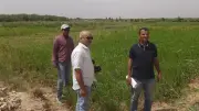 محافظة سوهاج تنفي زراعة خضروات بمياه الصرف الصحي في الكولا