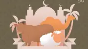 ما يسن للمضحي فعله عند الأضحية؟ دار الإفتاء توضح بالتفصيل