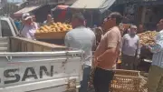 حملات مكثفة لإزالة التعديات والإشغالات بالشرقية استعداداً لعيد الأضحى