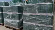 مطار العريش يستقبل طائرة مساعدات سعودية جديدة لأهالي غزة