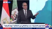 بدر عبد العاطي: علاقات مصر بإفريقيا تتجاوز المصالح السياسية العابرة