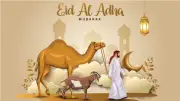 لماذا يحتفل المسلمون بعيد الأضحى كل عام؟ تعرف على سر التكبيرات وقصة الأضحية