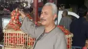 نقيب الفلاحين: التغيرات المناخية وليست التقاوي سبب تلف البطيخ والطماطم