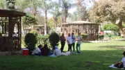 حكم المأموم المتأخر عن الإمام في تكبيرات صلاة العيد