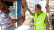 حملات بيطرية مكثفة بأسوان على الجزارة والأسواق استعداداً لعيد الأضحى