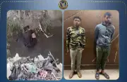 خلافات على حدود أرض زراعية تؤدي لمشاجرة بين أبناء عمومة في كفر الشيخ