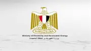نصائح للتعامل مع عداد الكهرباء مسبق الدفع لتجنب انقطاع التيار