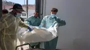 جريمة مأساوية في المنيا: شخص ينهي حياة شقيقه في جنينة المغاربة بملوي