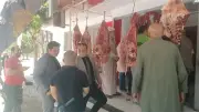 حملات مكثفة للطب البيطري ببني سويف على الجزارين استعداداً لعيد الأضحى