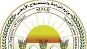 تجديد اعتماد دولي لخلو الخيول المصرية من طاعون الخيل الأفريقي