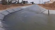 قانون الري يحظر مزارع الأسماك في المجاري المائية ويغلظ عقوبات المخالفين