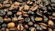 شعبة البن تكشف مفاجأة عن المغشوش في مصر وتحذر المواطنين