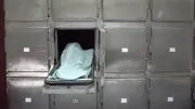 مصرع شخص إثر سقوطه من علو بقرية في منية النصر بالدقهلية