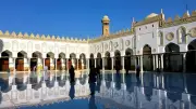 حكم بيع جلد الأضحية.. الأزهر للفتوى يحسم الجدل ويوضح الرأي الشرعي