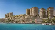عبد الفتاح عبد المنعم: 