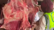 قبل عيد الأضحى.. سلامة الغذاء تشدد الرقابة على اللحوم والمجازر